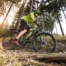 Best Biking- Pedals Away from Forest Villas