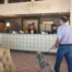 Guest arriving at pet-friendly hotel in Prescott AZ lobby with dog