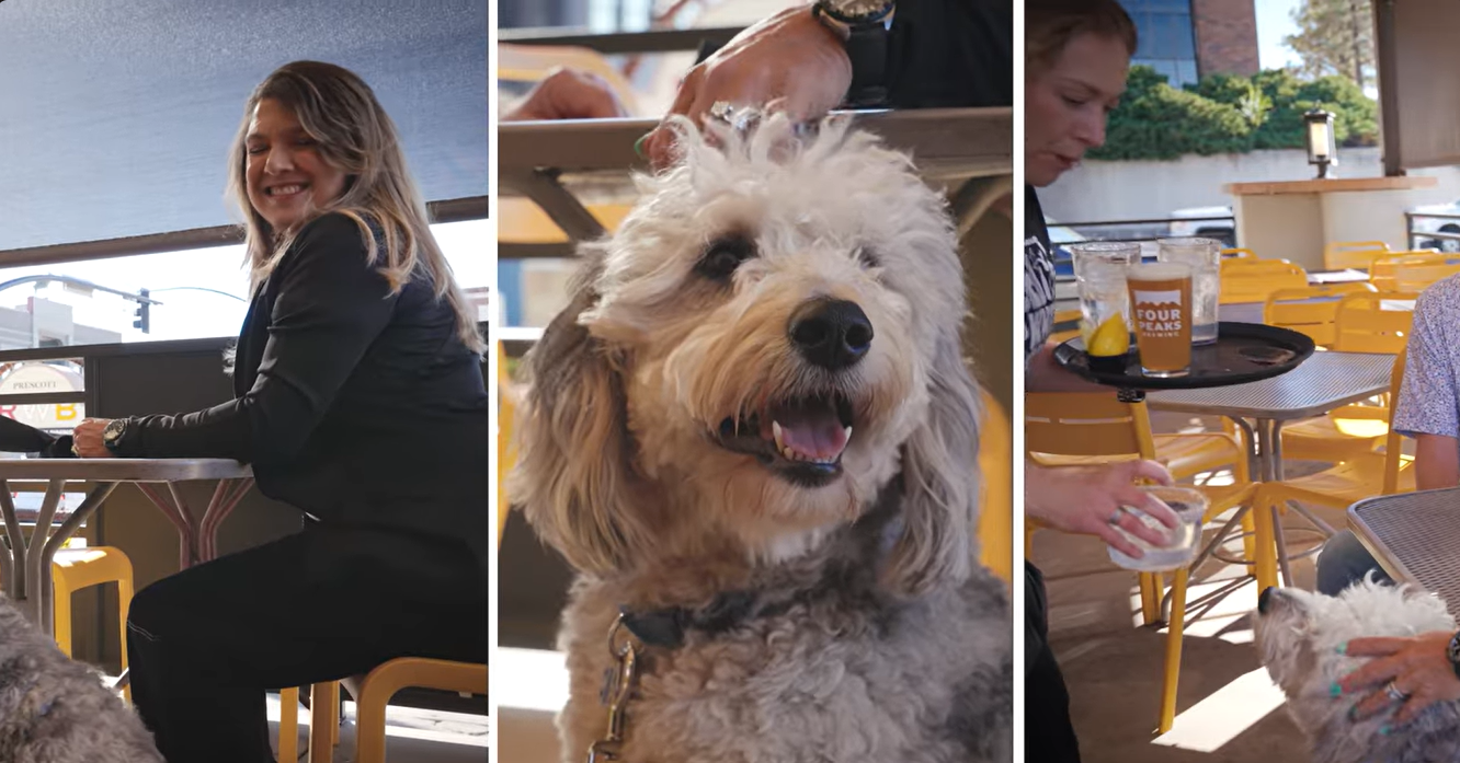 Dog being served water at pet-friendly restaurant in Prescott AZ